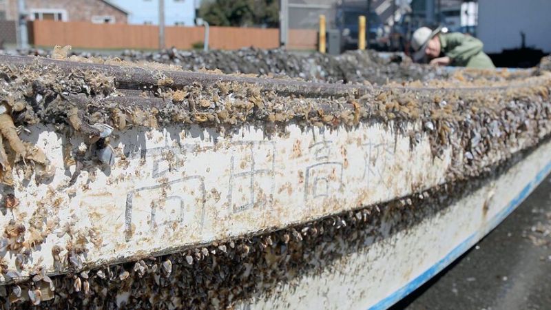 con thuyền kamome con thuyền kamome